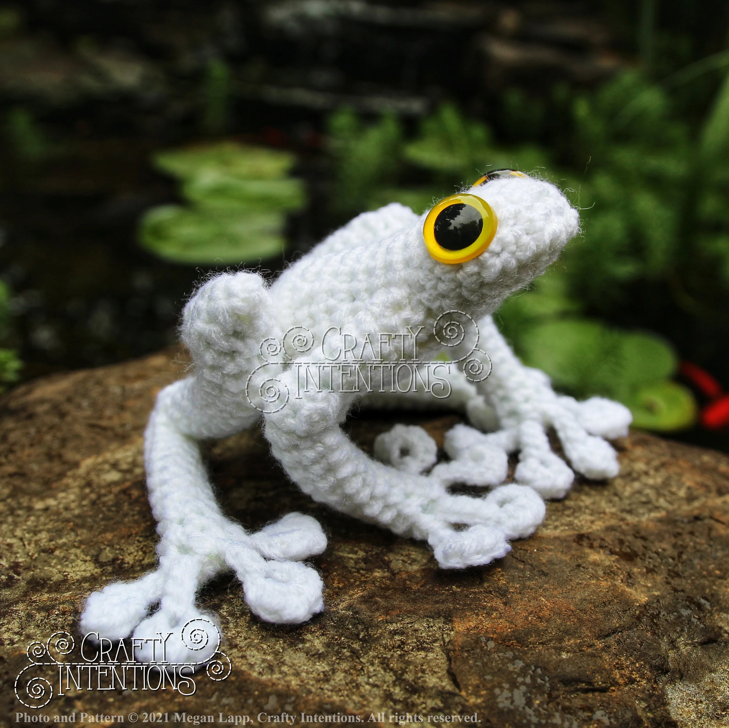 Frogs — Crafty Intentions